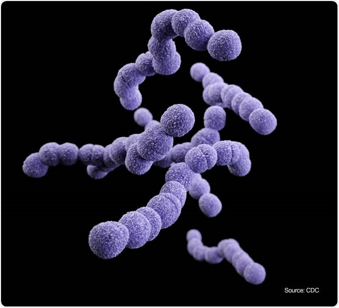 Streptococcus agalactiae. Image Credit: Alissa Eckert, courtesy of Centers for Disease Control