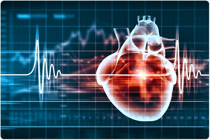 Image Credit: ESB Professional / SHutterstock