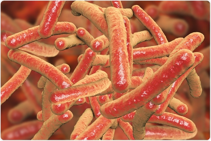 Bacteria Mycobacterium tuberculosis, the causative agent of tuberculosis. Image Credit: Kateryna Kon / Shutterstock