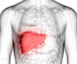 How do Certain Foods Affect the Liver?