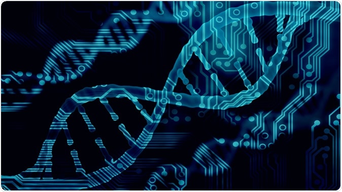 Image Credit: CI Photos / Shutterstock