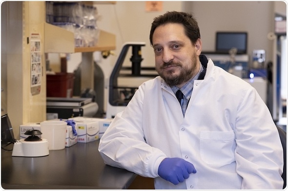 Researchers identify potential way to halt age-related macular degeneration