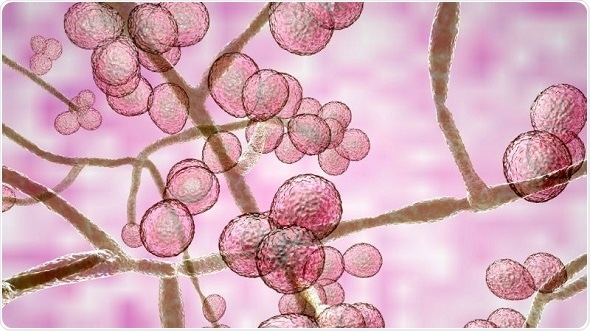 Johns Hopkins researchers warn of new infectious diseases and death due to global warming