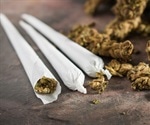 Alarming link between marijuana and increased heart risk
