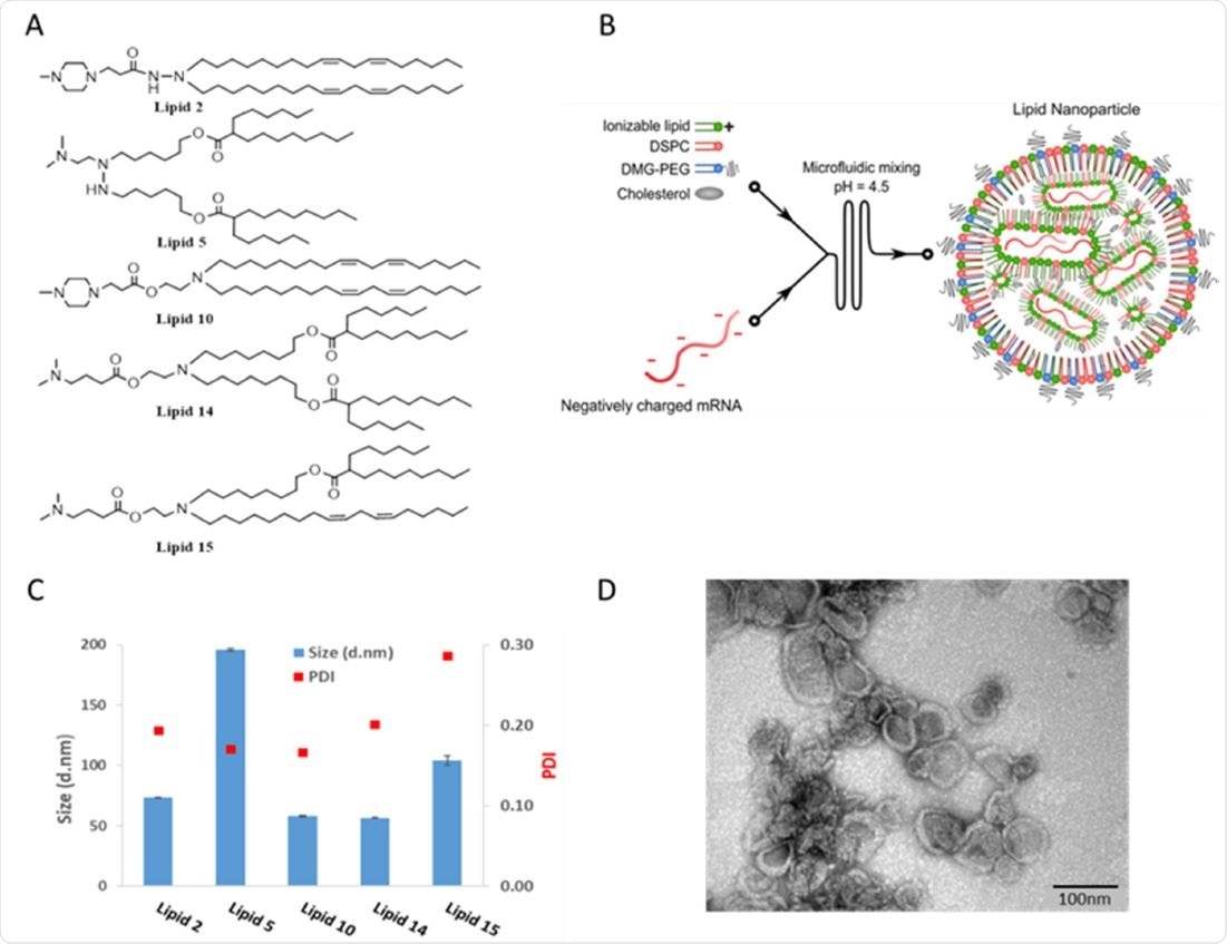 Chemical structures and physicochemical properties of designed LNPs Panel A: Schematic illustrations of the structures of the designed lipids. Panel B: Schematic illustration of LNP synthesis. Panel C: Representative size distribution and polydispersity index (PDI) of LNPs measured by dynamic light scattering Panel D: Representative TEM images of LNP #2. Scale bar 100 nm.