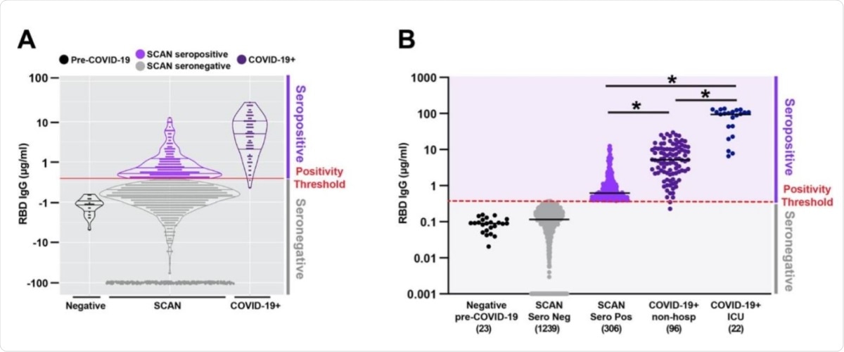 Quantitative measure of IgG directed to the receptor binding domain of SARSCoV-2 spike glycoprotein. Samples were acquired through the Screening for Coronavirus Antibodies in Neighborhood (SCAN) between June 24, 2020 and September 6, 2020 (n= 1545). A) Overlap between the IgG range seen in the community-acquired SCAN seropositive samples (light purple) and non-hospitalized COVID-19+ seropositive samples (dark purple, far right). B) 19.8% (306 of 1545) of SCAN samples were seropositive with a median IgG concentration of 0.62 µg/ml SCAN for the seropositive group. The median concentration of the seronegative SCAN group was 0.11 µg/ml. As a comparator, shown is the range of IgG detected from 96 non-hospitalized and 22 ICU hospitalized individuals with COVID-19 documented by a positive nucleic acid test for SARS-CoV-2 virus. The median IgG concentration was 5.2 µg/ml for the non-hospitalized COVID-19+ group and 98.5 µg/ml for the ICU hospitalized COVID-19+ group. The SARS-CoV-2 RBD IgG ELISA seropositive threshold is marked by the red line at 0.39µg/ml. Two hundred and forty-four seronegative samples with an IgG concentration below 0.001 were plotted at 0.001. Comparing seropositive groups * p<0.0001 by Wilcoxon-Mann-Whitney Test. Both seronegative groups are significantly different than all seropositive groups.