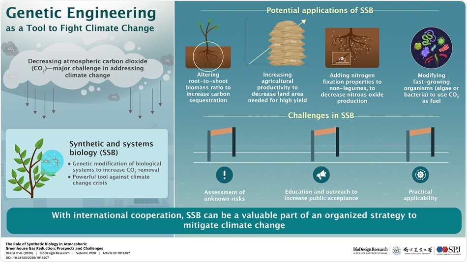 Scientists reveal how genetically modified organisms can help mitigate climate change Scientists reveal how genetically modified organisms can help mitigate climate change