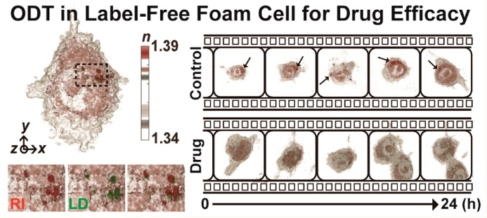 Tomocube’s HT-2 microscope quantifies therapeutic effects of targeted nanodrugs against atherosclerosis