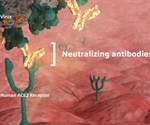 Siemens Healthineers SARS-CoV-2 IgG antibody test demonstrates ability to detect neutralizing antibodies