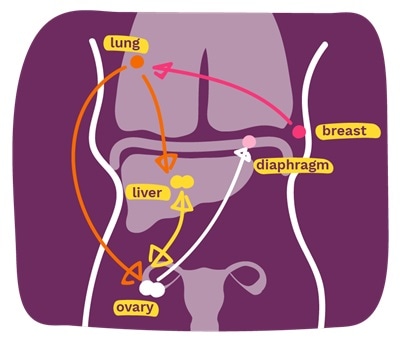 ‘Molecular clock’ blood test could help identify actively growing tumors in metastatic breast cancer