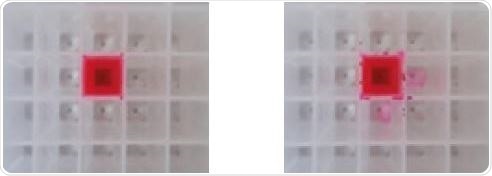1.5 and 1.75 mL volumes mixed in a 2-mL/well nominal volume square collection plate (Vortex Genie, setting 3) showing potential cross-contamination when max fill volume is exceeded.