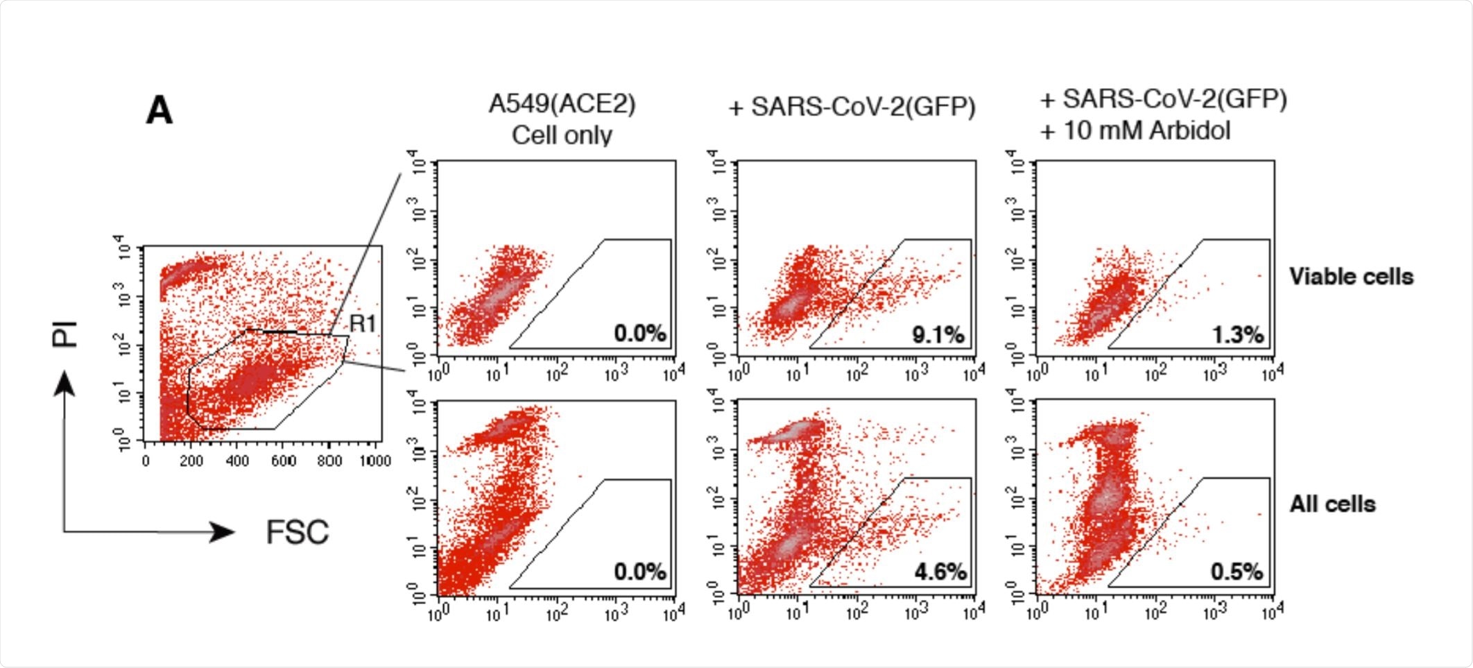 Validation of SARS-CoV-2 S protein pseudotyped reporter viruses for the screening and quantification of antiviral drugs and neutralization antibodies. Validation of SARS-CoV-2 S protein pseudotyped reporter viruses for the screening and quantification of antiviral drugs and neutralization antibodies.