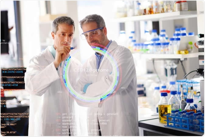 Beat Christen, Assistant Professor of Experimental Systems Biology and Dr. Matthias Christen in the Christen Lab at ETH Zurich. Image Credit: ETH Zurich / Agnieszka Wormus