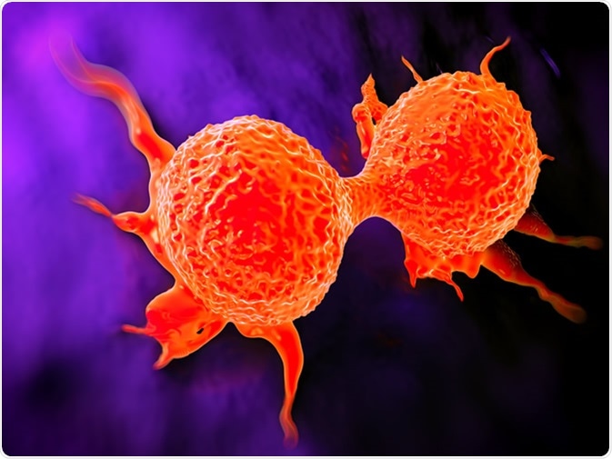Dividing breast cancer cell. Image Credit: Shutterstock