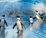 Penguins’ speech pattern similar to human