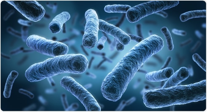 Legionella pneumophila - medical 3d illustration. Image Credit: peterschreiber.media / Shutterstock