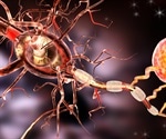 Biological age of the brain emerges as a powerful predictor of longevity