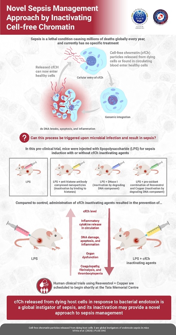 Scientists uncover key molecular mechanism underlying different aspects of sepsis Scientists uncover key molecular mechanism underlying different aspects of sepsis