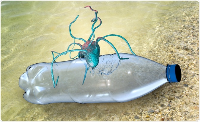 plastic biodegradation