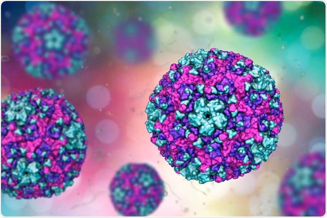 Coxsackievirus, 3D illustration. RNA virus from Picornaviridae family, the genus Enterovirus, causes hand, foot and mouth disease, meningitis, myocarditis, acute hemorrhagic conjunctivitis. Image Credit: Kateryna Kon / Shutterstock