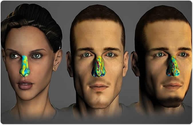 The olfactory fingerprint of the person in the middle remains consistent, even after 30 days (right), but is very different from that of another person (left)