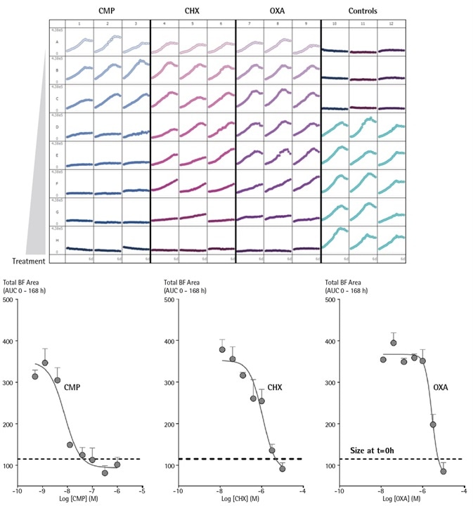 IncuCyte enables comparison testing of drug toxicities on growth of MCF-7 cells over time in a single microplate 3D spheroid assay. MCF-7 cells were seeded in flat bottom 96-well plates (1,000 cells/well) on a bed of Matrigel and spheroids allowed to form (72 h). Cells were then treated with serial dilutions of CMP, CHX, or OXA and spheroid growth kinetics obtained. The plate view shows the individual well Total Brightfield Object Area (µm2) (y-axis) over time (6 days) (x-axis). Concentration response curves (CRCs) represent the area under curve (AUC) of the Total Brightfield Area time course (µm2) from 0 – 168 h post-treatment. Data were collected over 168 h period at 6 h intervals. Each data point represents mean ± SEM,