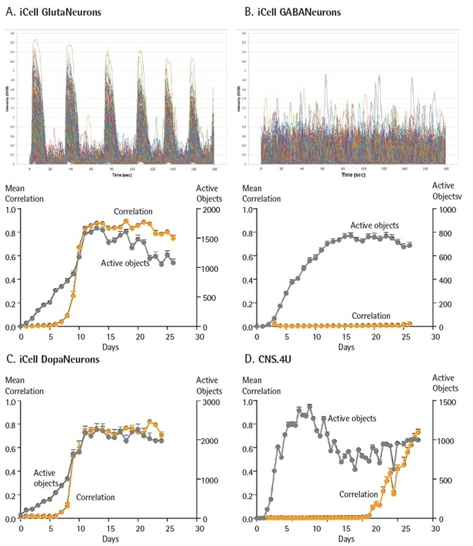 Functional activity of different iPSC-derived neurons. iCell GlutaNeurons, iCell GABANeurons, iCell DopaNeurons (Cellular Dynamics International) and CNS.4U neurons (Ncardia) were all seeded at 20K cells/ well. iCell GlutaNeurons, iCell GABANeurons and iCell DopaNeurons were also plated with a co-culture of rat astrocytes seeded at 15K cells/ well. Neurons were infected with NeuroBurst Orange reagent, and active object number and mean correlation were quantified for up to 45 days. Example calcium oscillation traces and kinetic graphs of activity metrics over time for iCell GlutaNeurons (A) and iCell GABANeurons (B). Mean correlation and active object number were quantified for iCell DopaNeurons (25 days) (C) and CNS.4U neurons (45 days) (D). Data points represent Mean ± SEM.