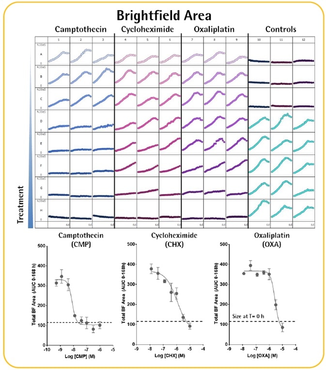 Multi-Spheroid 3D Tumor Assays Development for Live-Cell Analysis
