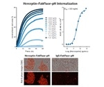 Cancer Drug Discovery Antibody Internalization Assays