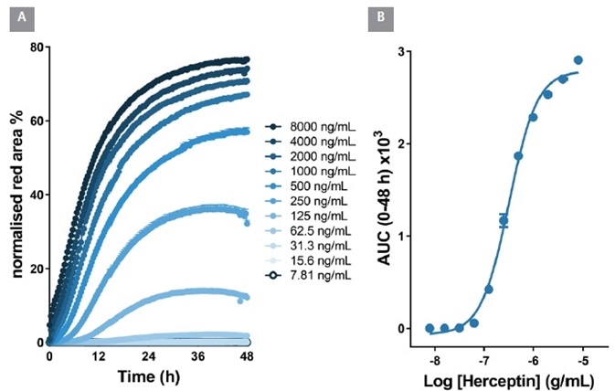 Quantitative pharmacological analysis of IncuCyte® FabFluor labeled Herceptin. BT-474 Her2-positive cells were treated with increasing concentrations of FabFluor labeled Herceptin. The time course graph displays an increase normalized red area over time with increasing Herceptin concentrations (A). Area under the curve analysis of this response displays a clear concentration dependent response with an EC50 of 323 ng/mL (B). All data shown as a mean of 3 wells ± SEM, time course data shown as normalized red area.