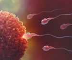 Male Age and Fertility