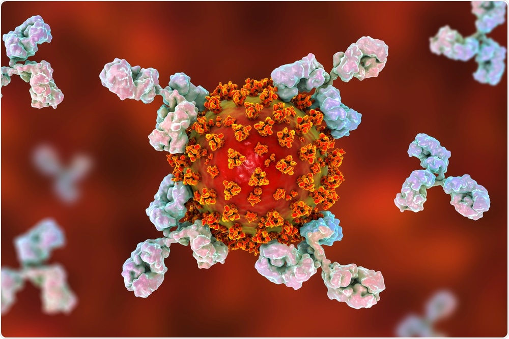 SARS-CoV-2 Virus and Antibodies