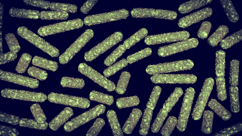 E. coli