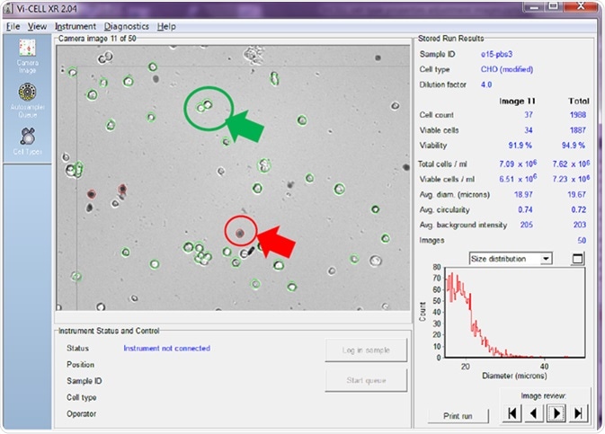 Viable cells are circled in green and non-viable in red.