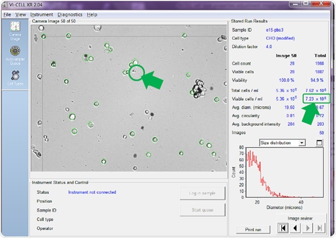 Same images re-analyzed with minimum viable cell diameter set.