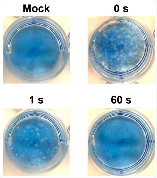 Plaque formation in Vero cells. Virus solutions irradiated with DUV-LED for several durations 124 were diluted (100-fold) and inoculated to Vero cells. A representative result is shown.