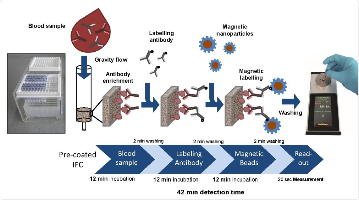 Proof-of-concept MInD assay setup using IFC coated with SARS-CoV-2 antigen. Assay steps and assay time are indicated. IFCs were coated with commercial SARS-CoV-2 S-protein peptide and blocked with BSA. Corresponding antibody was diluted either in PBS or spiked in human serum and applied to IFCs. Biotinylated secondary antibodies were added, followed by application of streptavidin-functionalized MNP. Finally, IFCs were inserted into the portable magnetic read-out device. Measuring signal can be correlated to the amount of antibody in the sample and antibody titer can be determined. Assay time of this preliminary MInD setup was 42 min which is approximately four times faster than ELISA (161 min).