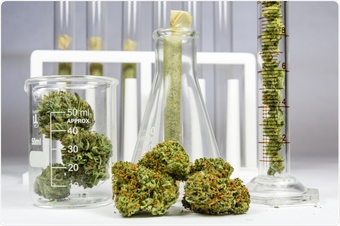 cannabis synthesis