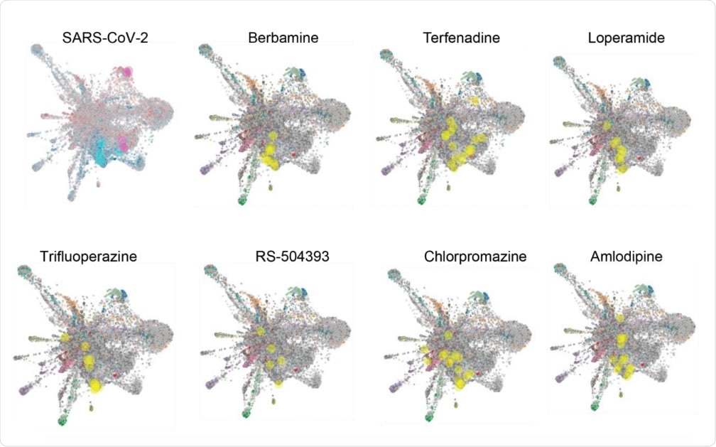 L1000FWD analysis of SARS-CoV-2 and candidate drug transcriptional space. A) L1000FWD analysis projecting the SARS-COV-2 uninfected vs. infected A549-ACE2 RNAseq signature onto the L1000FWD space (a) where red represents mimicking signatures and blue represents reversing signatures. Top 5 mimickers are highlighted in pink and top 5 reversers are highlighted in cyan. Projection of 7 reversing drugs: terfenadine, loperamide, berbamine, amlodipine, trifluoperazine, RS-504393, and chlorpromazine. Here signatures are colored by their known mechanisms of action where the signatures for each drug are highlighted in yellow.