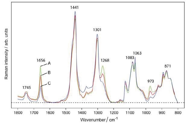 Raman spectra of (A) margarine, (B) 50:50 margarine–butter mixture, and (C) butter show that peaks at 973, 1268, and 1656 cm−1 are indicative of margarine in the sample. Reprinted with permission from Ref. 1. © 2016 Springer.