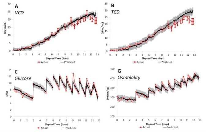 Monitoring of a Cell Culture Using Cross-Scale In Situ Raman