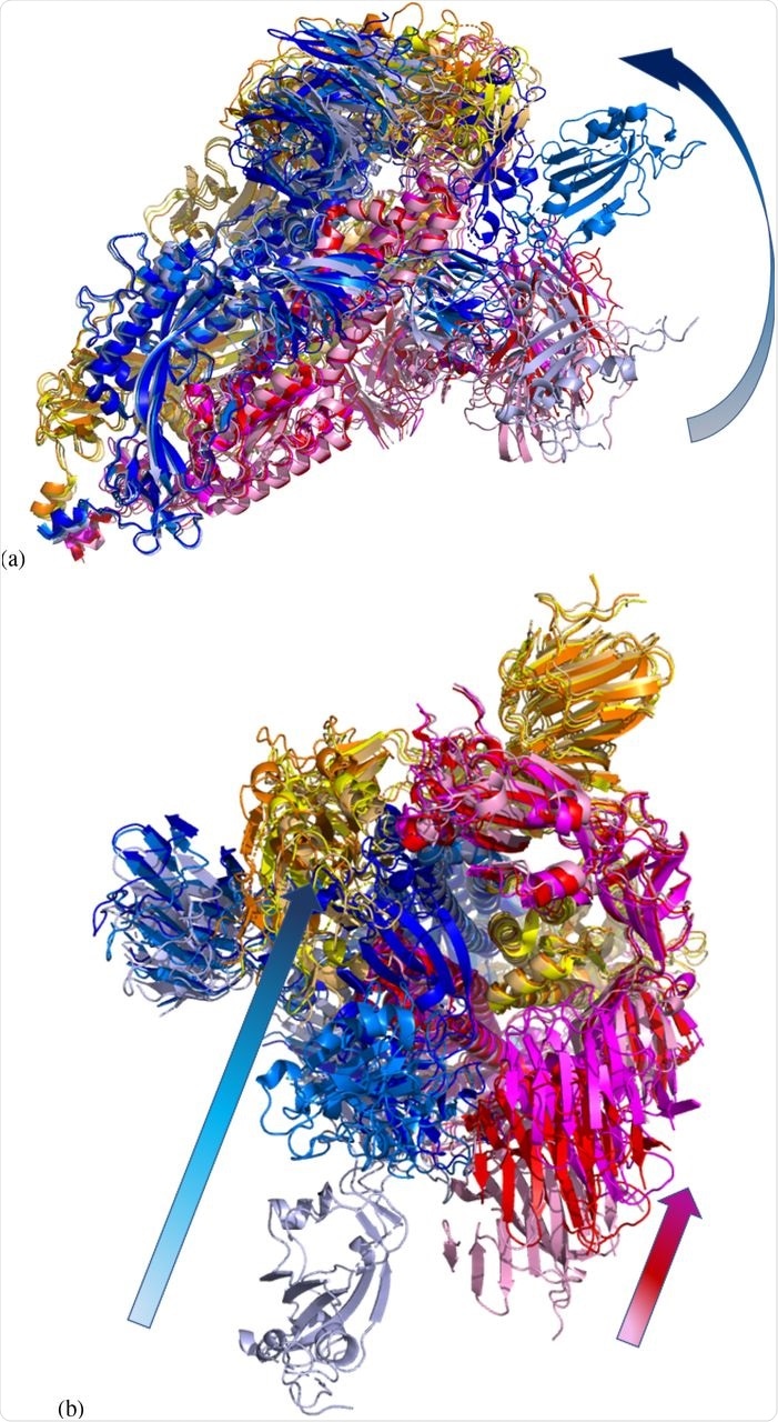 Possible motion along mode m7 at Ecut = 1 kcal/mol with (a) side and (b) top view of the open spike ecto domain (6vyb)9. Colors are chosen identical to Fig. 4. As in Fig. 3, the arrows in each panel show the range of motion for chain B (blue shades) in (a+b) and also for chain C (reds) in (b).