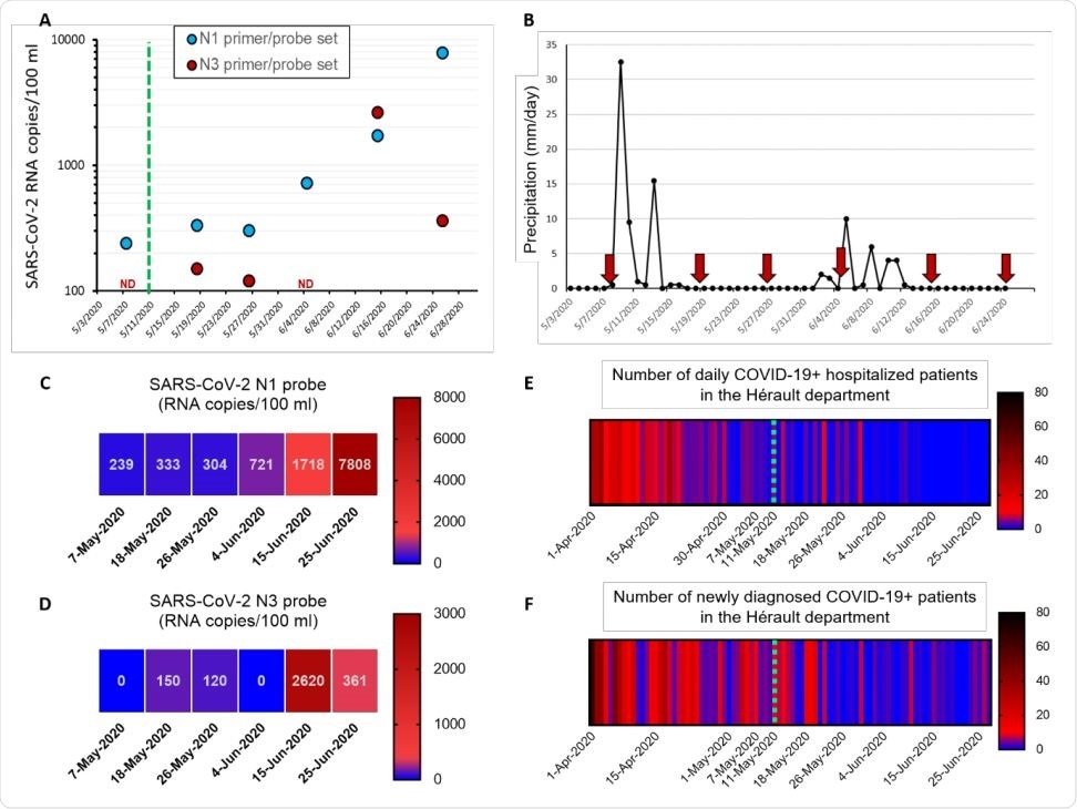 SARS-CoV-2 RNA detection in the Montpellier wastewater and number of COVID-19 cases. (A) The number of SARS-CoV-2 RNA copies was measured using either the N1 or N3 primer/probe set. Each dot corresponds to the concentration of SARS-CoV-2 RNA in wastewater measured from the sum of the RNA copy number calculated from two RNA extractions and four RT-qPCR reactions performed in two individual runs. Sterile water wells were included in duplicates for each primer/probe set in each plate as negative control and always returned “No Ct” (not shown on the graph). Of note, the graph does not take into account the RERP efficiency calculated in Table 2. The green dotted line indicates the end of the strict lockdown in France. ND: non-detected. (B) The graph shows precipitation in millimeter per day recorded in Montpellier (station Lavalette 34172005). The red arrows indicate our wastewater collection dates. (C-D) Heatmaps of the SARS-CoV-2 RNA concentration calculated in A specific to the N1 (C) and N3 (D) primer/probe sets. (E-F) The heatmaps show the number of daily COVID-19 patient hospitalized (E) and the number of newly confirmed COVID-19 cases (F) in the Hérault department (source: Santé Publique France). The green dotted line indicates the end of the strict lockdown in France.