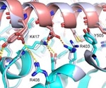 Picomolar inhibitors to SARS-CoV-2 proteins