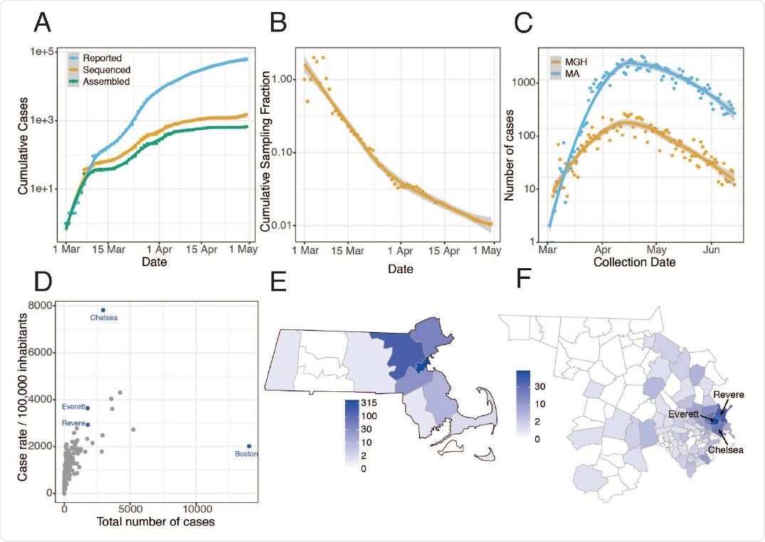 Epidemiology of SARS-CoV-2 in Massachusetts and of sequenced viral genomes. A. Cumulative confirmed and presumed cases reported state-wide in MA ( 7 ) from March 1 through May 1, 2020, and the number of these cases that were processed (orange) and successfully yielded complete genomes with />98% coverage (green) in this study. B. Cumulative proportion of all MA confirmed positive cases with complete genome sequences from unique individuals that are part of this dataset over time. C. Daily reported cases across MA from March 1 through June 15 statewide (blue) and at MGH (orange). D. Total number of cases compared to cases per 100,000 people for cities across MA. Cities in blue are highly represented in the genome dataset. E. Distribution of MA cases with sequenced viral genomes by county. F. As in E but showing only Middlesex and Suffolk counties, the two counties with the highest number of sequenced samples, by zip code. Cases associated with congregate living environments were excluded from the maps in E and F.