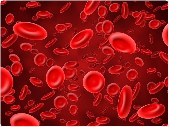 Red Blood Cells