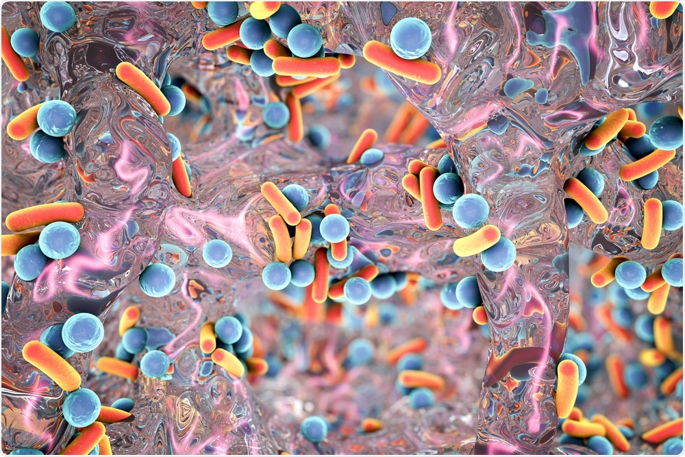 Biofilm of antibiotic resistant bacteria
