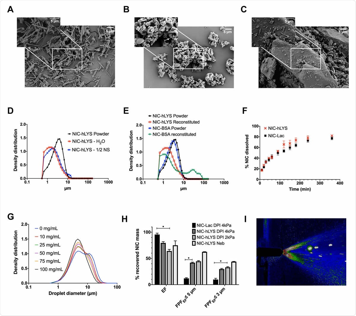 Micronized niclosamide (A) was embedded in a matrix of human lysozyme and stabilizers using spray drying (B). This novel system was developed as an alternative to traditional lactose-based carrier systems (C) and enabled the targeted respiratory delivery of NIC as a powder via DPI or a reconstituted suspension via nebulizer or nasal spray. The optimized formulation exhibited a size distribution that was appropriate for inhalation (i.e., geometric median diameter < 5 μm) in both the dry powder state as well as when reconstituted using water or 0.45% NaCl (D). Similar effects could not be achieved when a negatively charged protein, bovine serum albumin, was substituted in the formulation for the positively charged hLYS (E). Though hLYS is surface active, it appeared to only slightly enhance the dissolution of NIC compared to NIC particles blended with lactose (F). A respirable droplet size distribution could be achieved with multiple different reconstituted concentrations when nebulized using the Aerogen Solo (G). These concentrations resulted in no aggregation to the lysozyme component. Efficient aerosol delivery was achieved with both the nebulizer and disposable DPI, with ~50% of the emitted dose being of an appropriate size for lung deposition. This was significantly improved compared to a traditional lactose carrier particle system (H). Reproducible plume geometry could be achieved using a variety of reconstituted concentrations when actuated using the Aptar device (I). Data is presented as mean + SEM (n = 3). *p < 0.05, using two-way ANOVA with Tukey’s multiple comparisons test (comparisons of DPIs presented only).