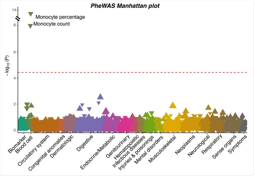 A Manhattan plot showing the associations between the severe COVID-19 risk variant and 923 phenotypes in UK Biobank. Each triangle represents one phenotype. Triangles pointing up indicate increasing effects of the COVID-19 risk allele on the phenotypes, while those pointing down indicate decreasing effects. The size of the triangle is proportional to the effect size. The significance threshold with Bonferroni correction (p < 0.05 / 923 = 5.42×10-5 ) is represented by the red dashed line.