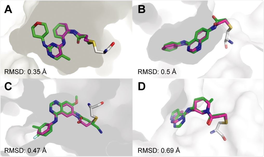 Covalentizer successfully recapitulates known covalent kinase inhibitors. Examples of covalent kinase inhibitors (green) for which covalentizer was able to find a substructure match (magenta) under the 1.5 Å threshold. A. ERK2, PDB: 4ZZO. B. EphB3, PDB: 5L6P. C. EGFR (T790M), PDB: 4I24. D. JAK3, PDB: 5TOZ. The electrophiles span acrylamides (A,D), a substituted acrylamide (C) and chloroacetamide (B).